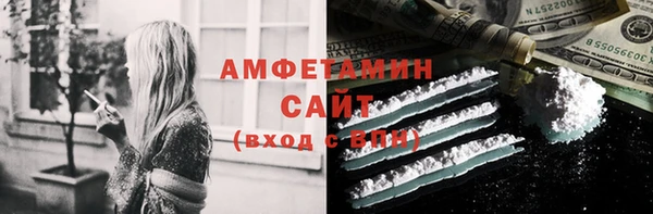 дмт Болотное