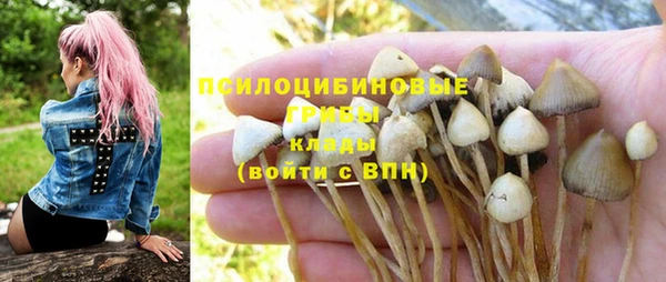 первитин Новозыбков